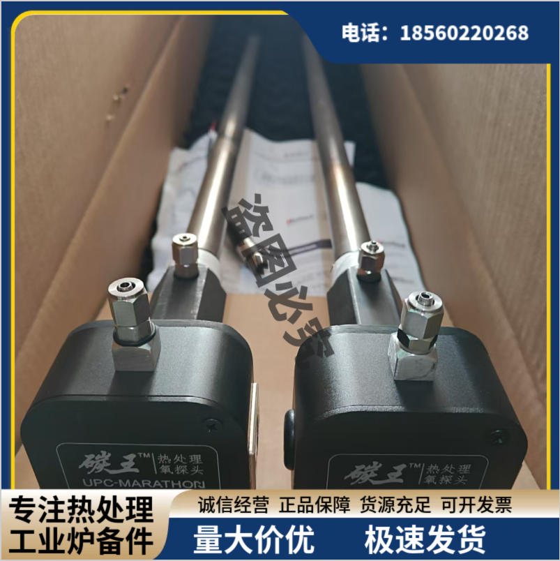 碳王氧探头 工业炉用传感器